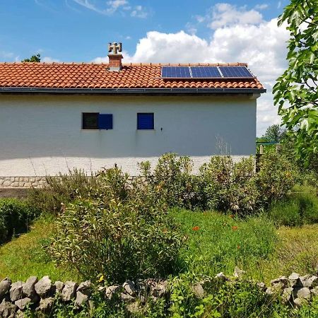 Ecohouse Oliveglia Villa Šilo Kültér fotó