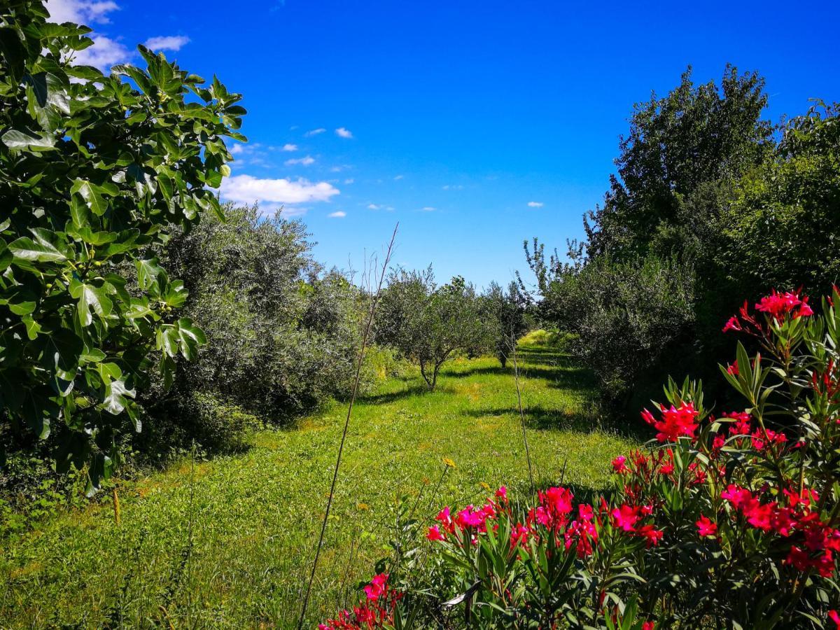 Ecohouse Oliveglia Villa Šilo Kültér fotó